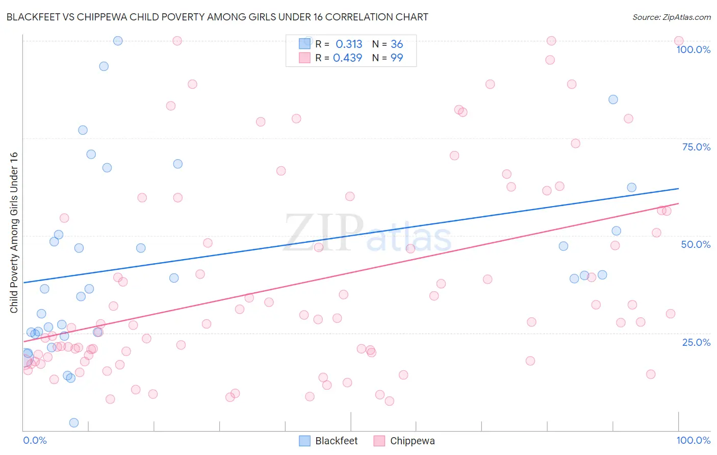 Blackfeet vs Chippewa Child Poverty Among Girls Under 16