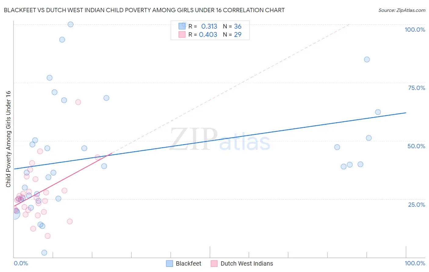 Blackfeet vs Dutch West Indian Child Poverty Among Girls Under 16