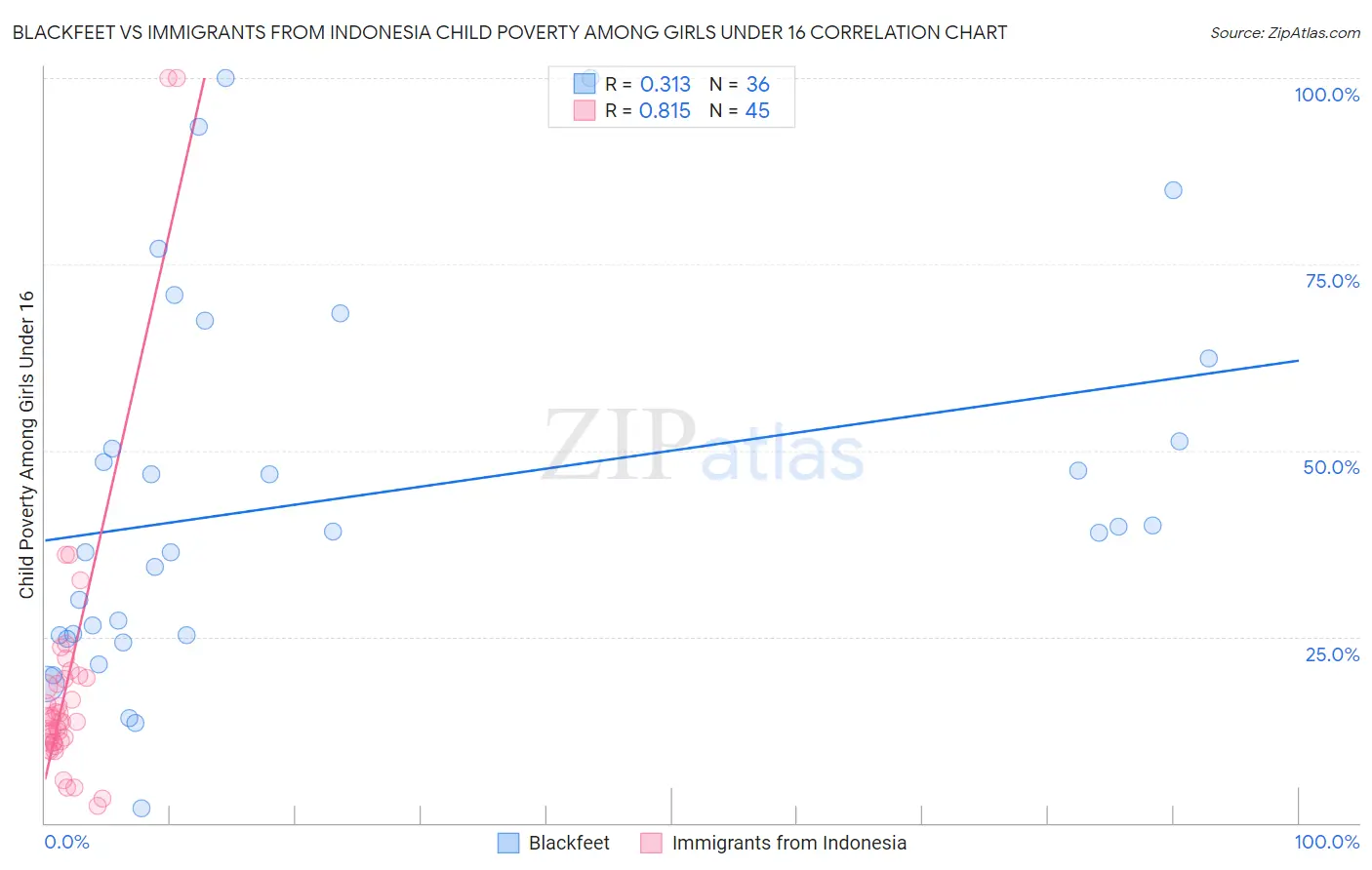 Blackfeet vs Immigrants from Indonesia Child Poverty Among Girls Under 16