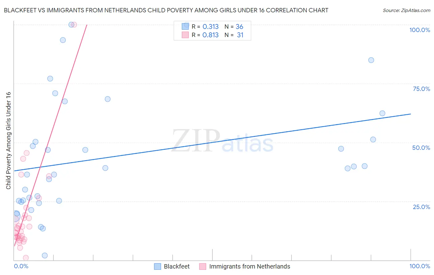 Blackfeet vs Immigrants from Netherlands Child Poverty Among Girls Under 16