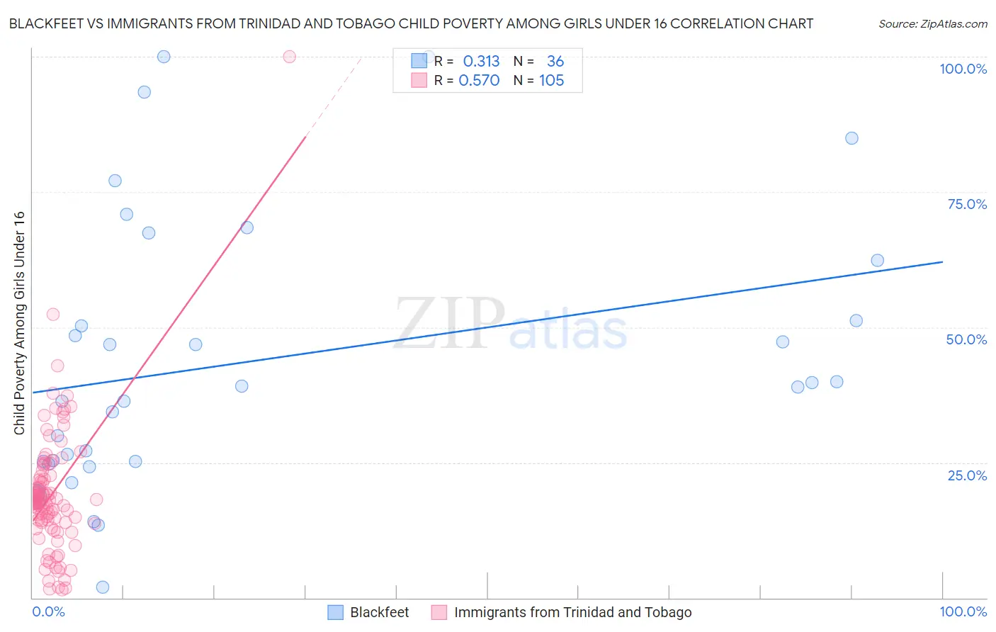 Blackfeet vs Immigrants from Trinidad and Tobago Child Poverty Among Girls Under 16