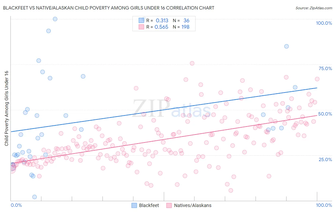 Blackfeet vs Native/Alaskan Child Poverty Among Girls Under 16