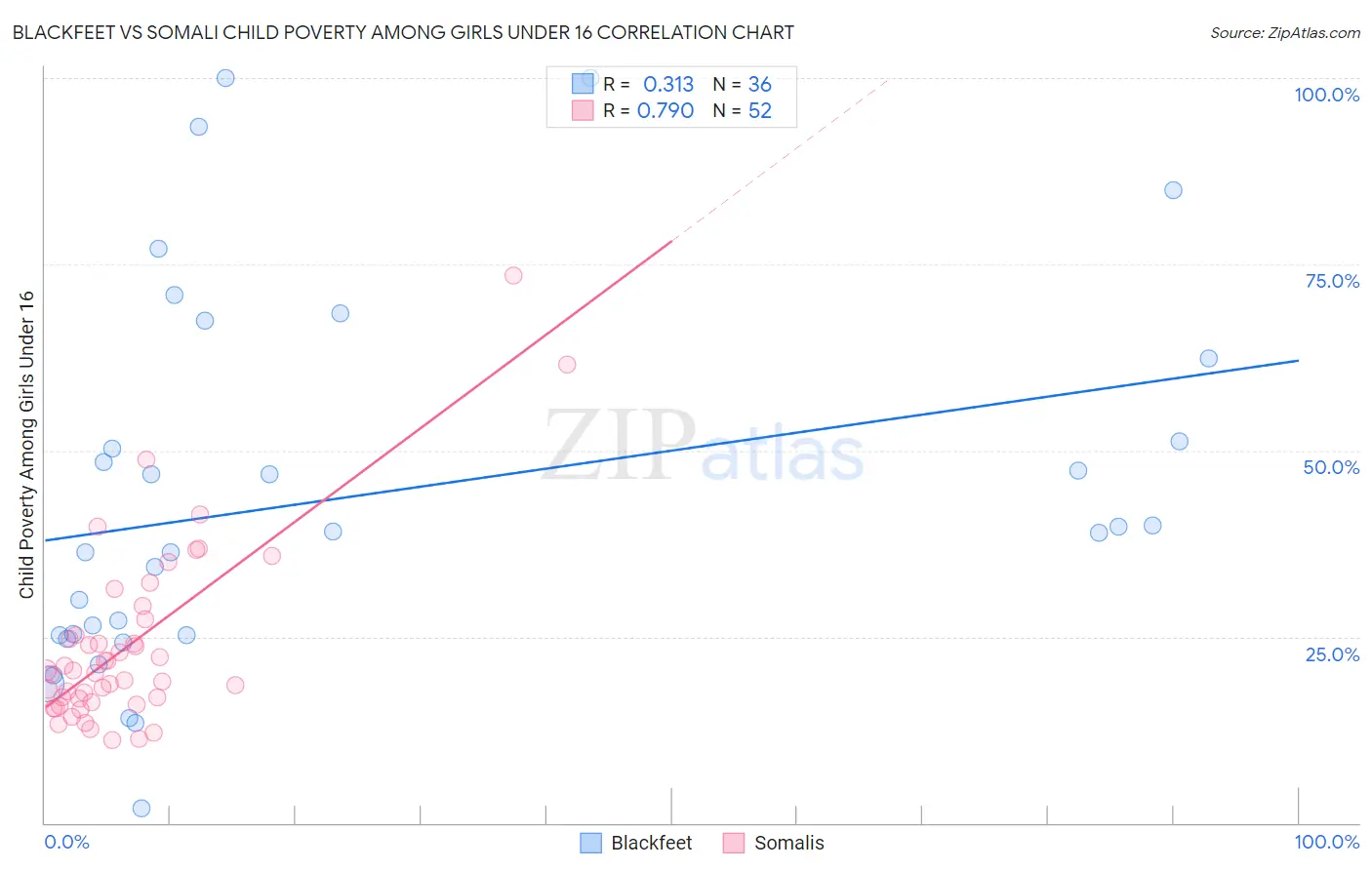Blackfeet vs Somali Child Poverty Among Girls Under 16