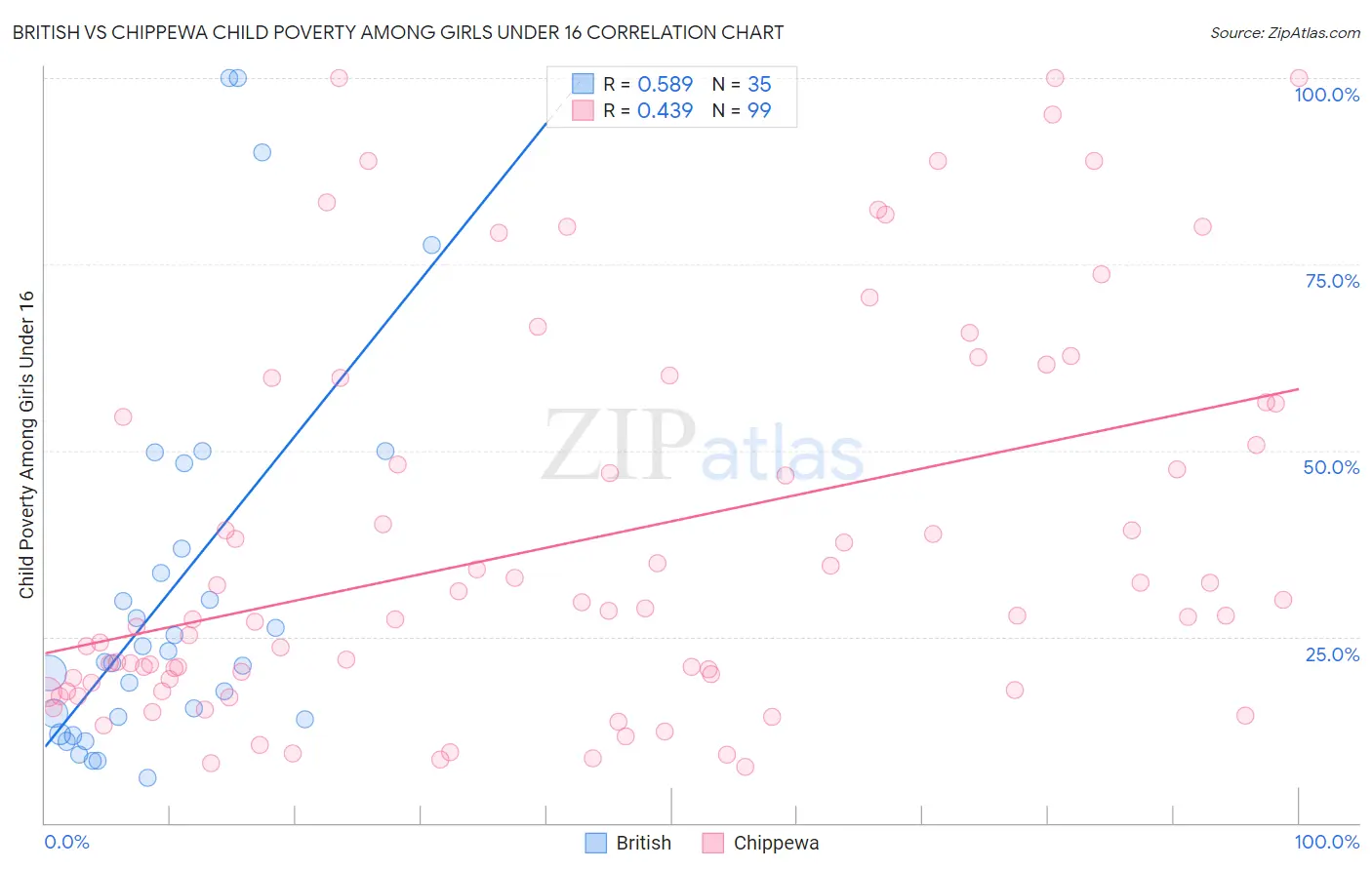 British vs Chippewa Child Poverty Among Girls Under 16
