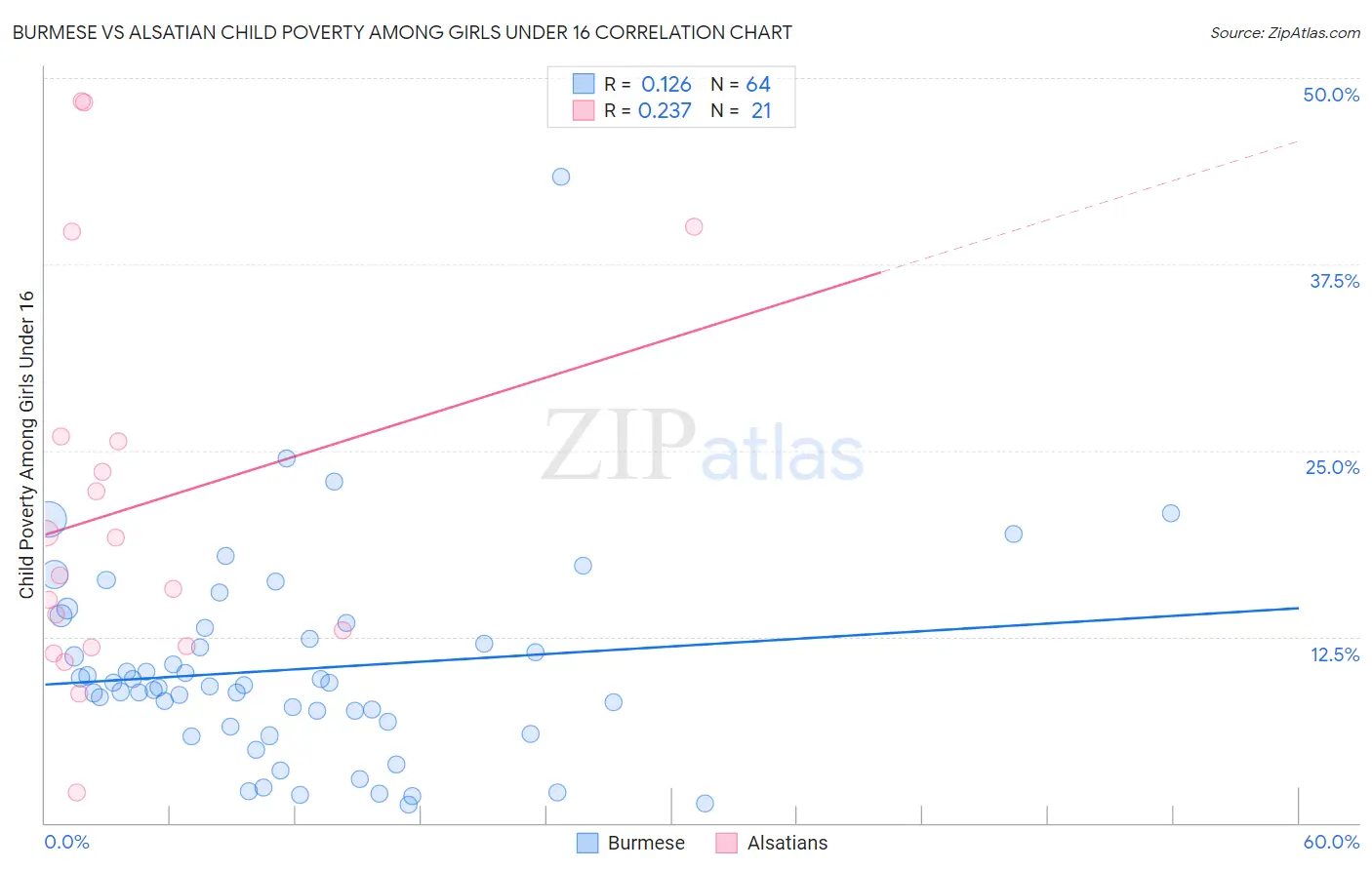 Burmese vs Alsatian Child Poverty Among Girls Under 16