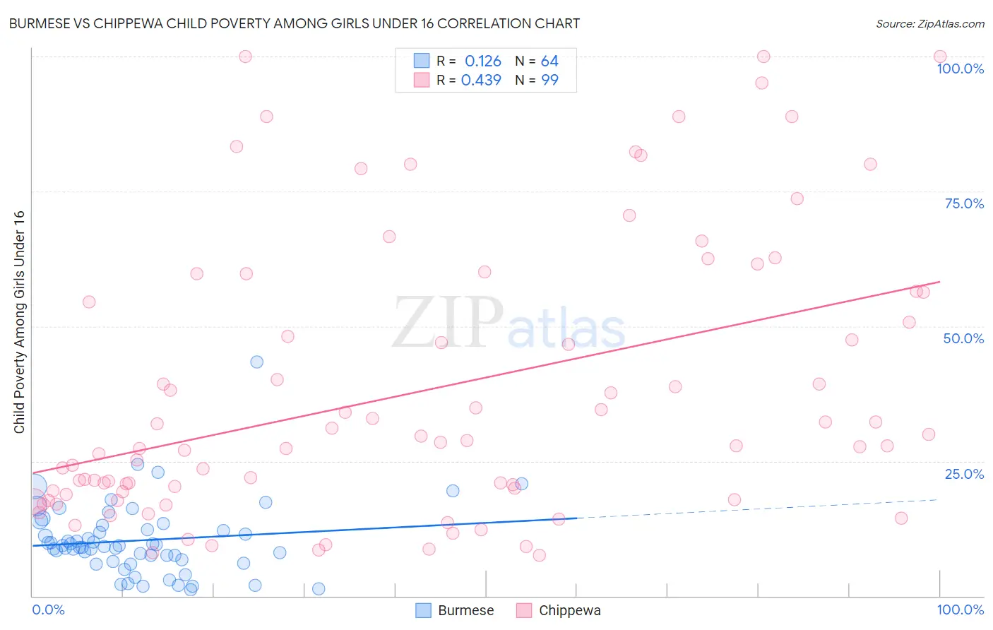 Burmese vs Chippewa Child Poverty Among Girls Under 16