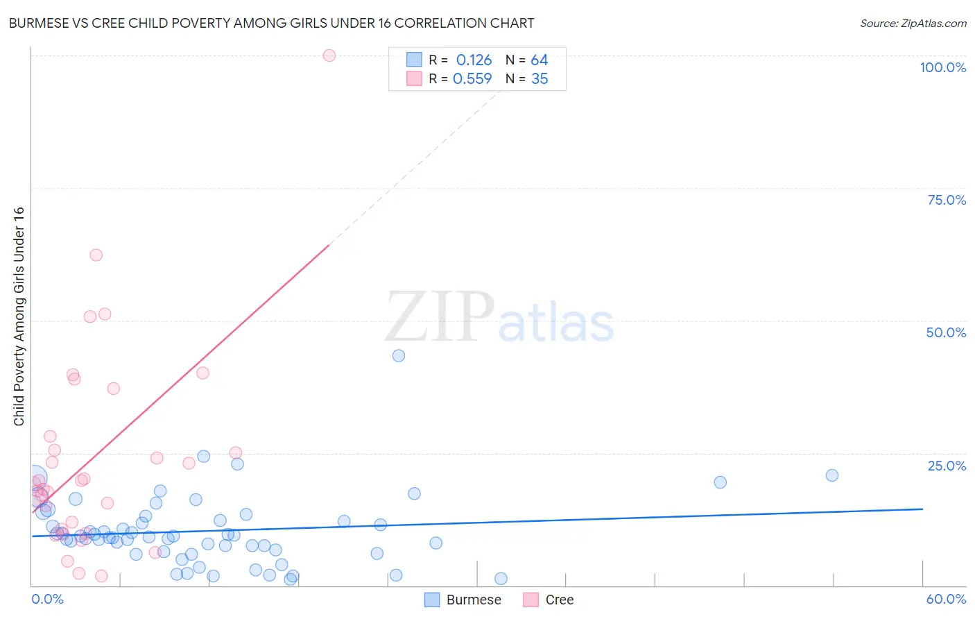 Burmese vs Cree Child Poverty Among Girls Under 16