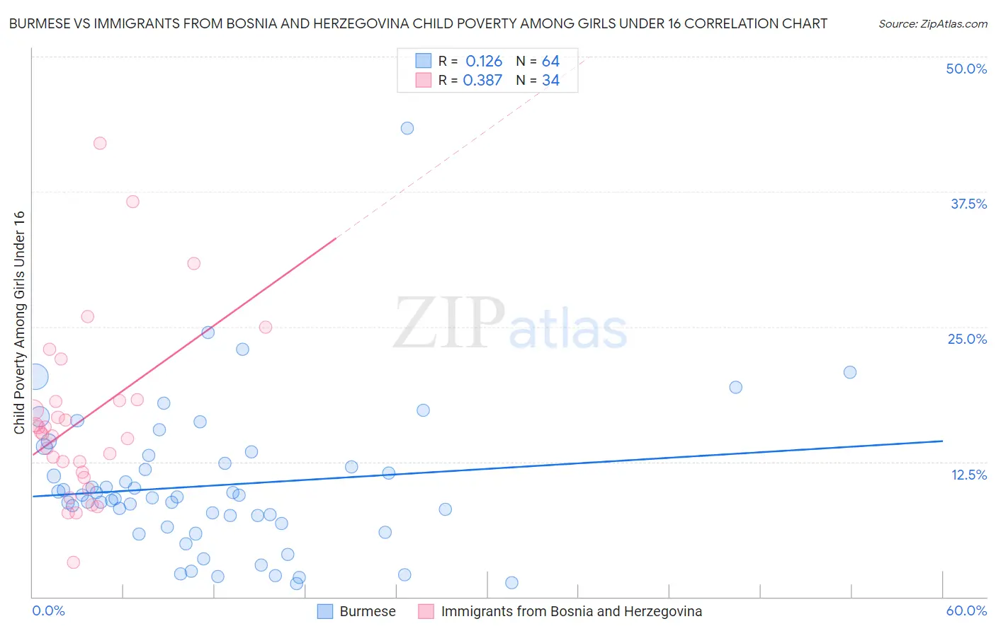 Burmese vs Immigrants from Bosnia and Herzegovina Child Poverty Among Girls Under 16