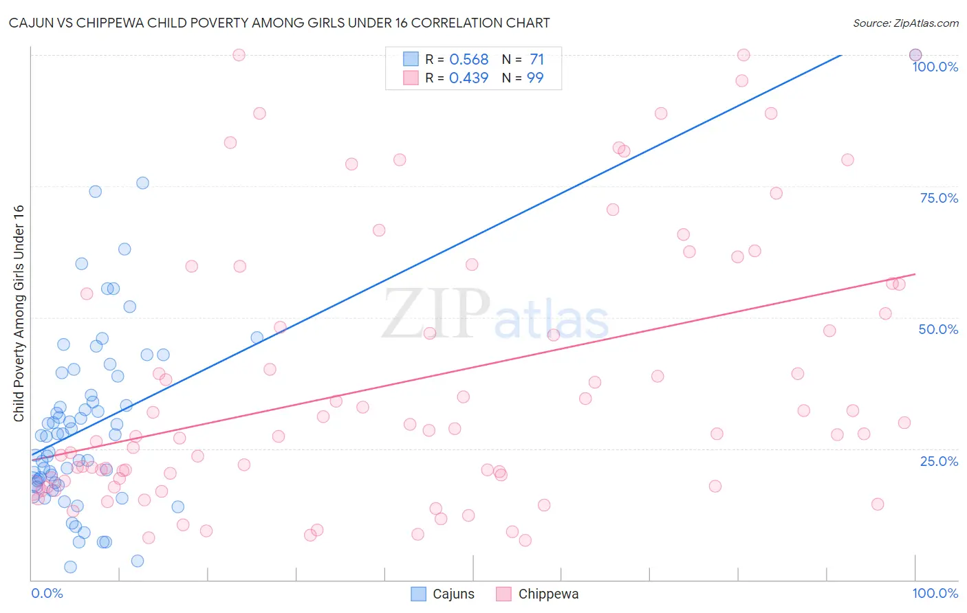 Cajun vs Chippewa Child Poverty Among Girls Under 16