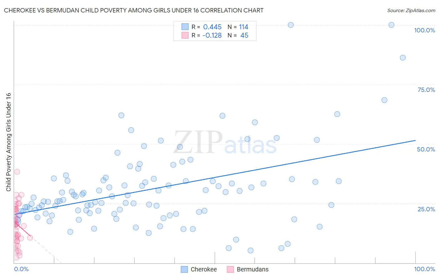 Cherokee vs Bermudan Child Poverty Among Girls Under 16