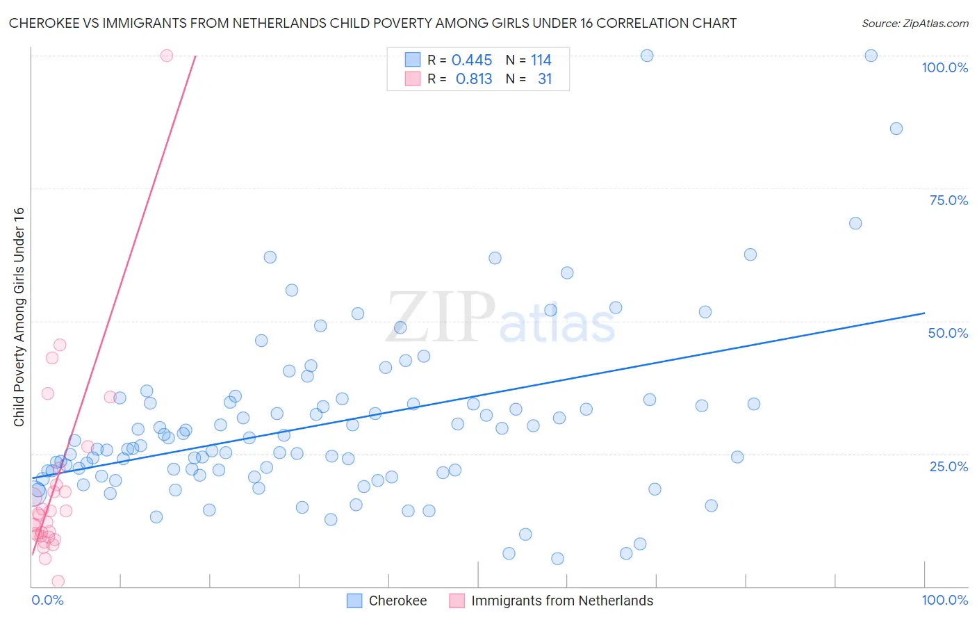 Cherokee vs Immigrants from Netherlands Child Poverty Among Girls Under 16