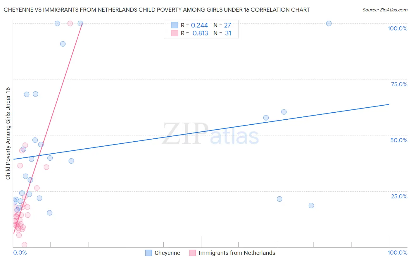 Cheyenne vs Immigrants from Netherlands Child Poverty Among Girls Under 16