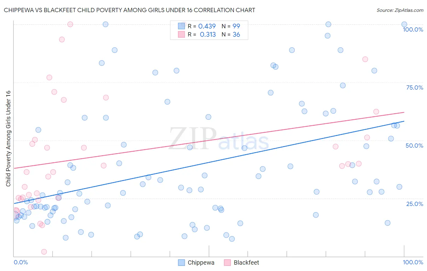 Chippewa vs Blackfeet Child Poverty Among Girls Under 16
