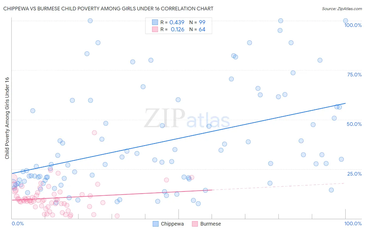 Chippewa vs Burmese Child Poverty Among Girls Under 16
