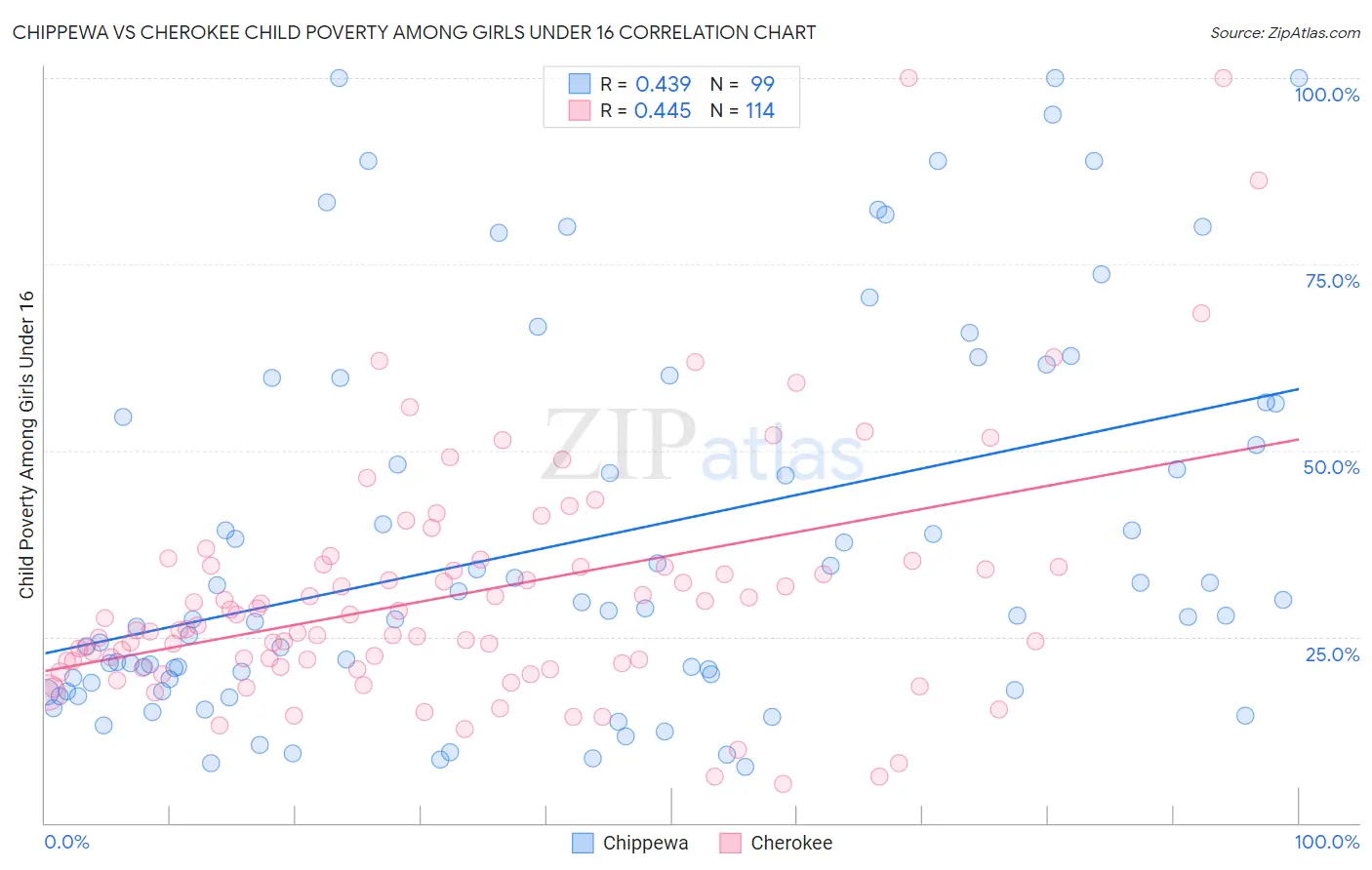 Chippewa vs Cherokee Child Poverty Among Girls Under 16