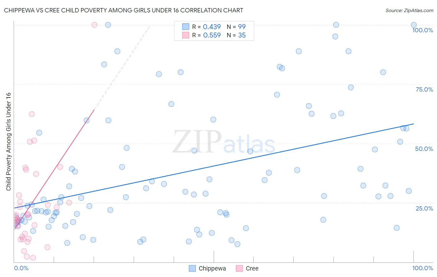 Chippewa vs Cree Child Poverty Among Girls Under 16