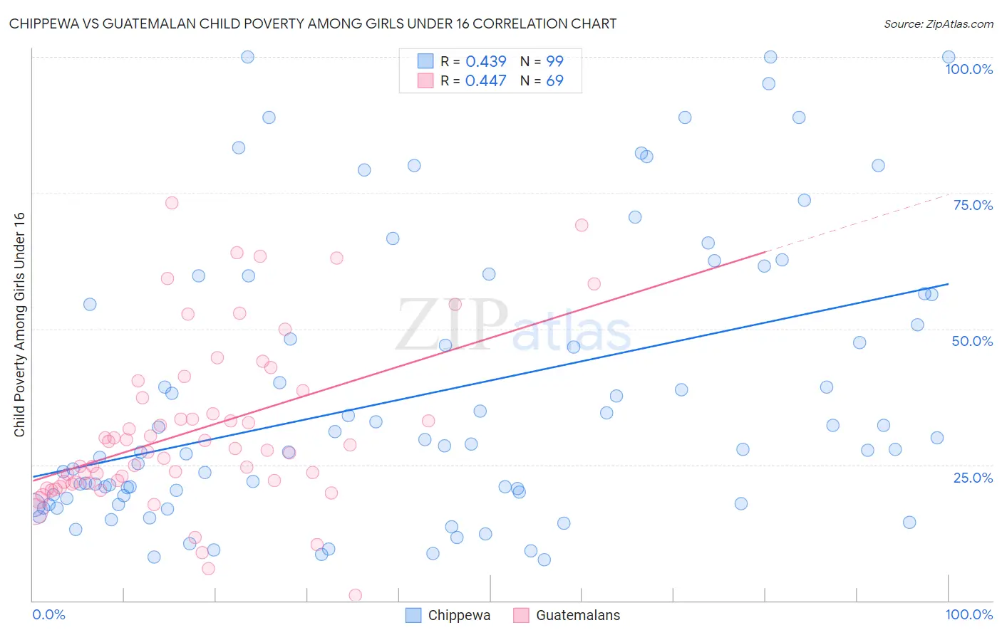 Chippewa vs Guatemalan Child Poverty Among Girls Under 16
