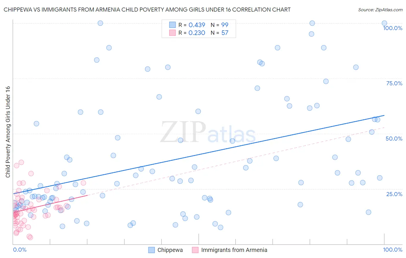 Chippewa vs Immigrants from Armenia Child Poverty Among Girls Under 16