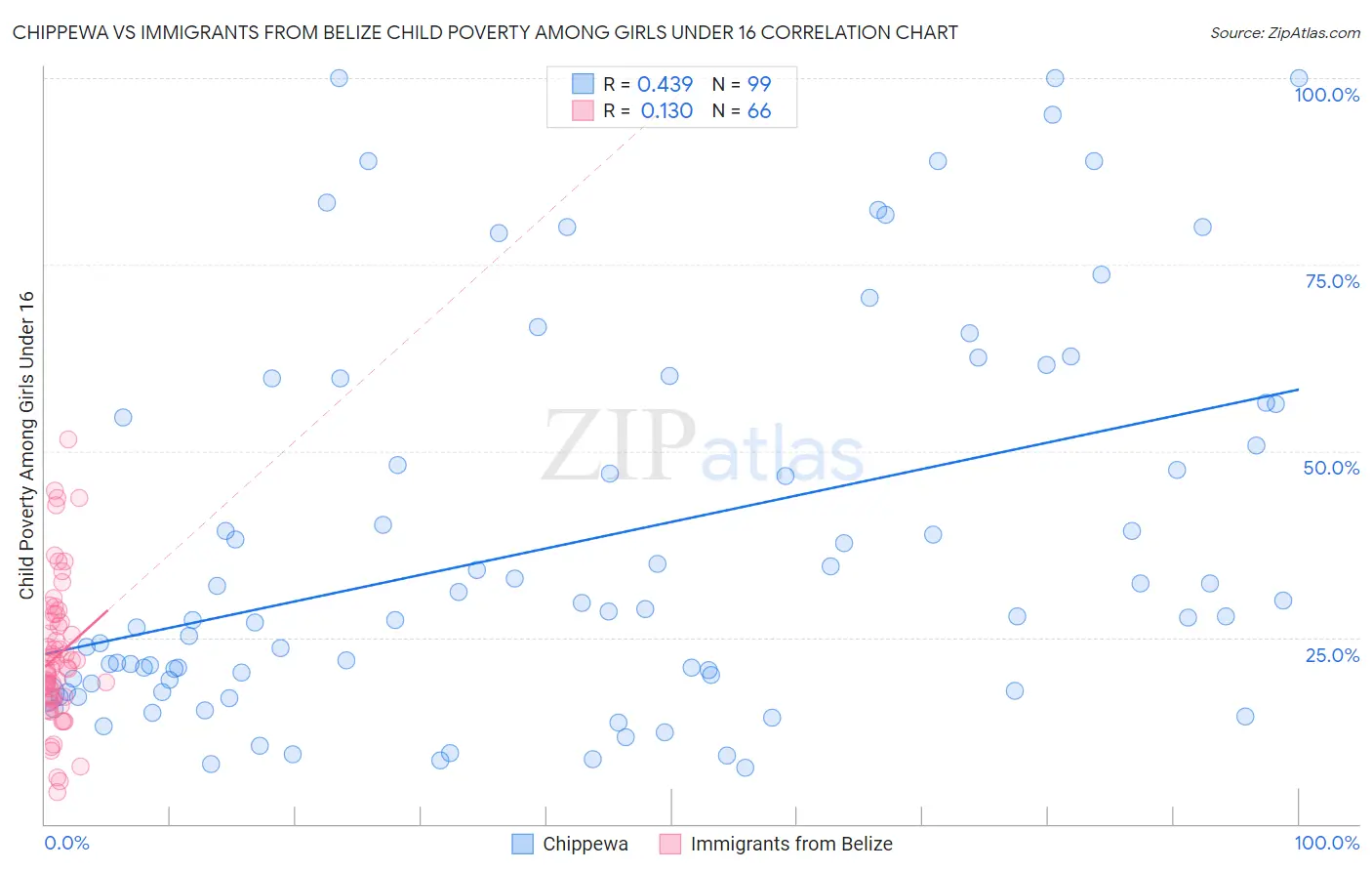 Chippewa vs Immigrants from Belize Child Poverty Among Girls Under 16