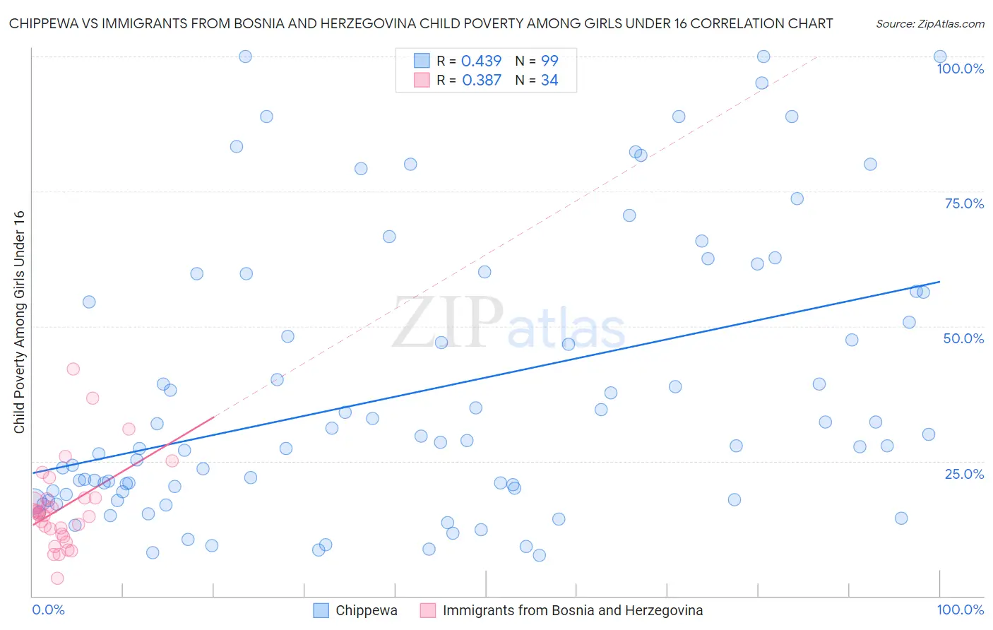 Chippewa vs Immigrants from Bosnia and Herzegovina Child Poverty Among Girls Under 16