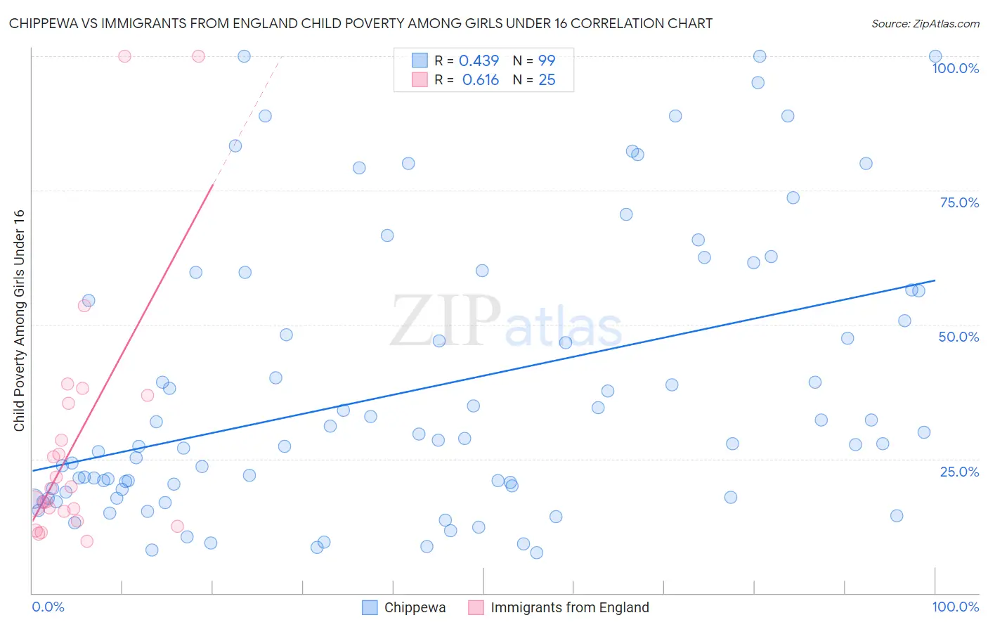 Chippewa vs Immigrants from England Child Poverty Among Girls Under 16