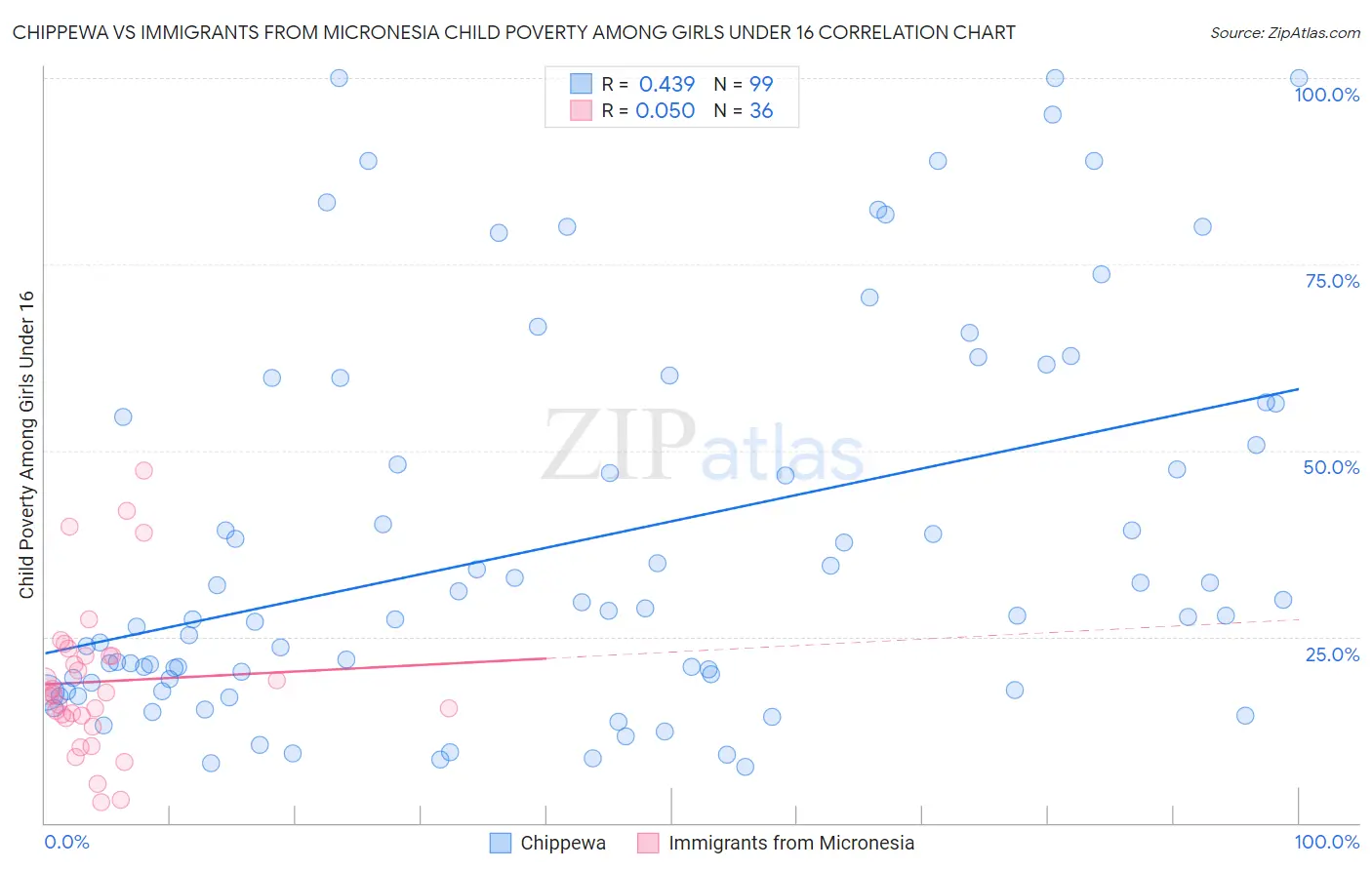 Chippewa vs Immigrants from Micronesia Child Poverty Among Girls Under 16