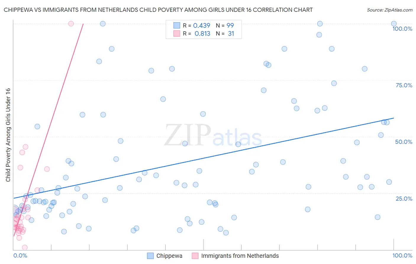 Chippewa vs Immigrants from Netherlands Child Poverty Among Girls Under 16