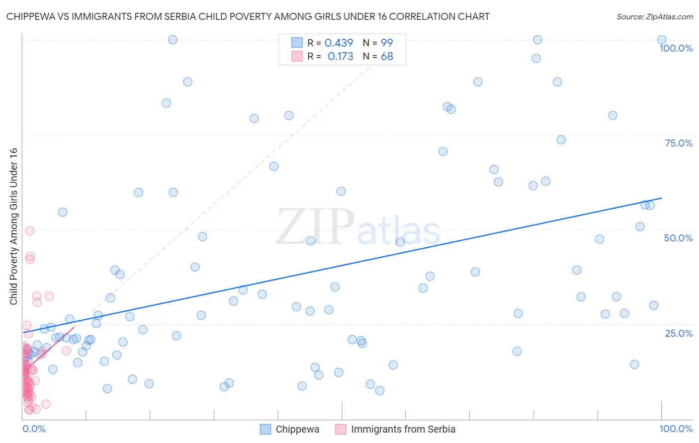 Chippewa vs Immigrants from Serbia Child Poverty Among Girls Under 16