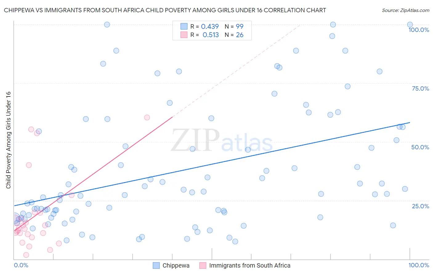 Chippewa vs Immigrants from South Africa Child Poverty Among Girls Under 16