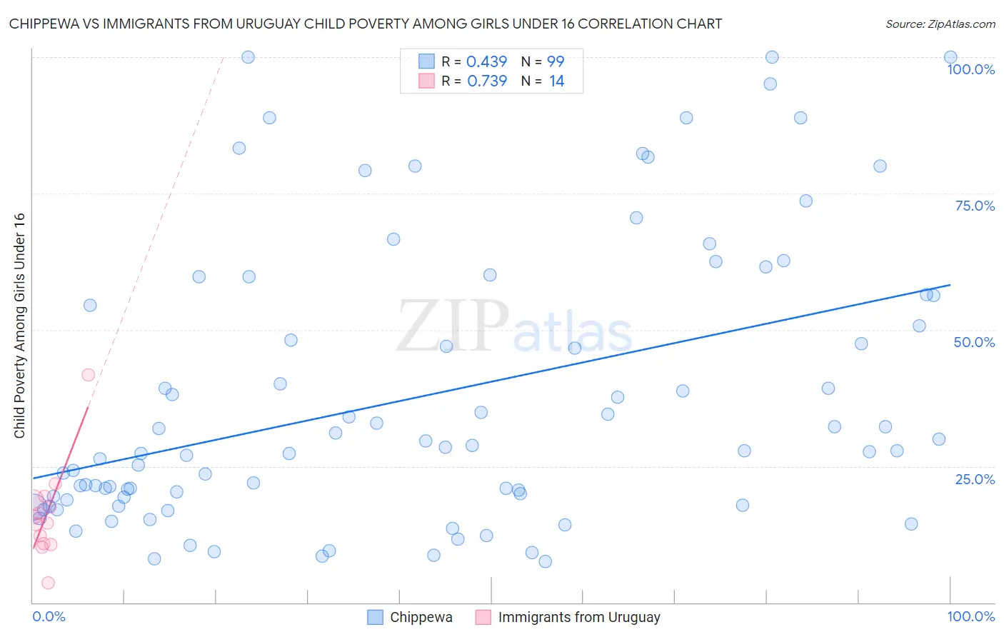 Chippewa vs Immigrants from Uruguay Child Poverty Among Girls Under 16