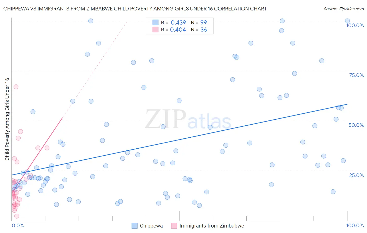 Chippewa vs Immigrants from Zimbabwe Child Poverty Among Girls Under 16