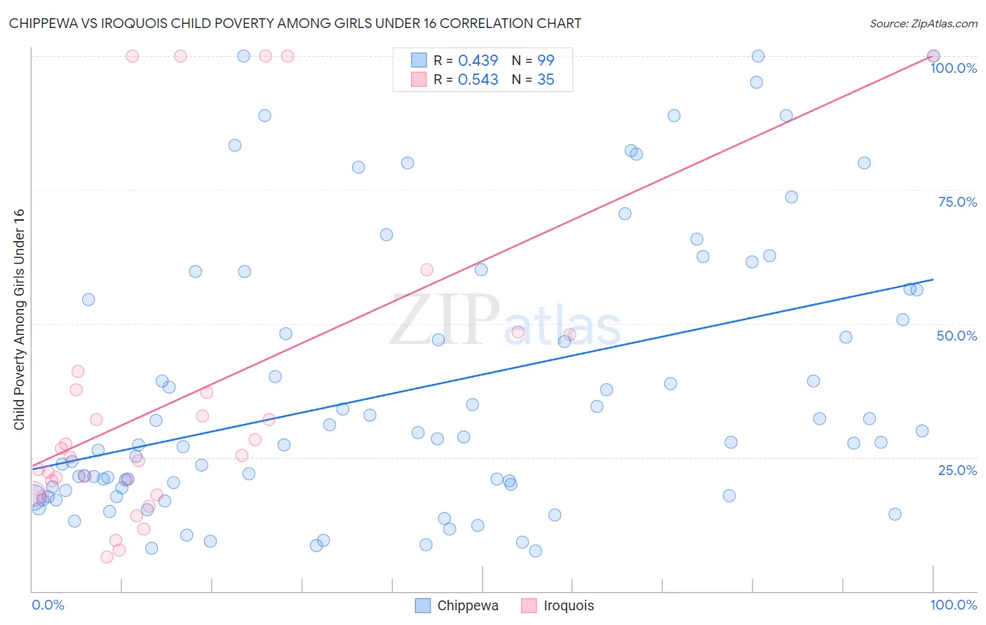 Chippewa vs Iroquois Child Poverty Among Girls Under 16