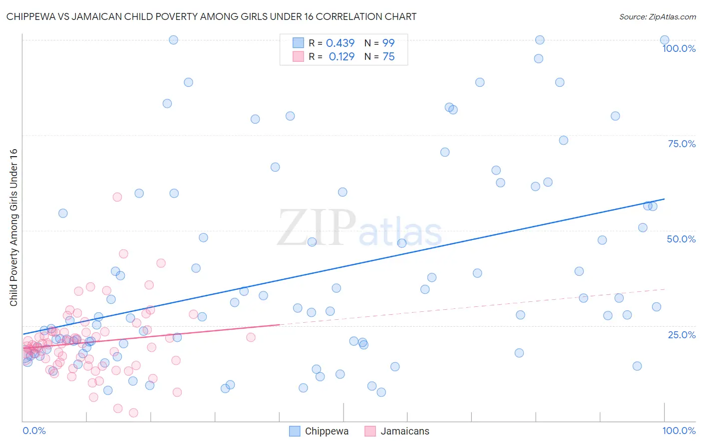 Chippewa vs Jamaican Child Poverty Among Girls Under 16