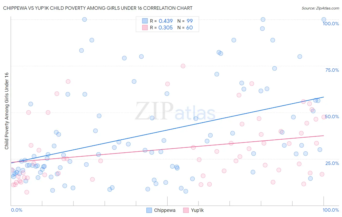 Chippewa vs Yup'ik Child Poverty Among Girls Under 16