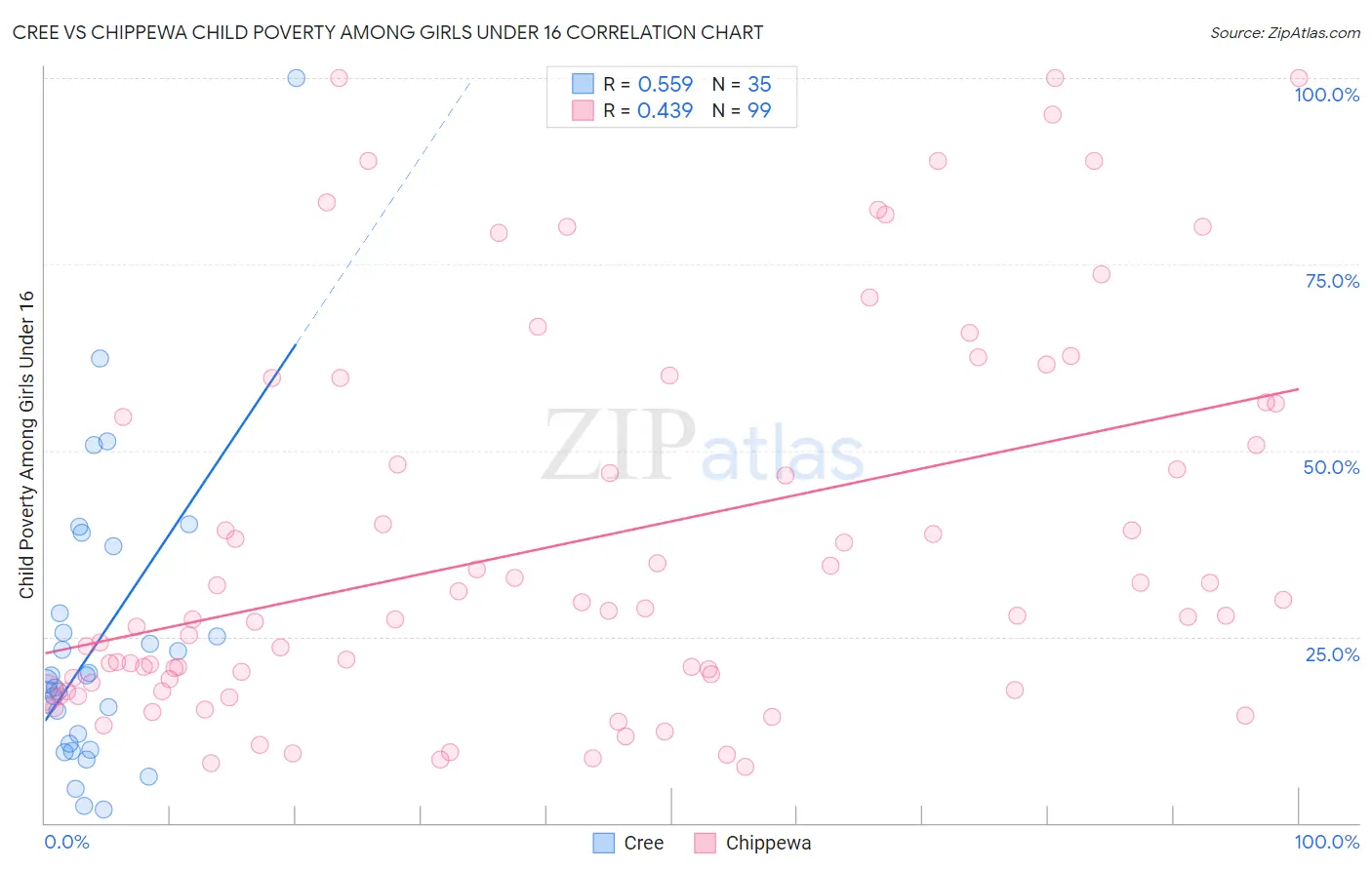 Cree vs Chippewa Child Poverty Among Girls Under 16