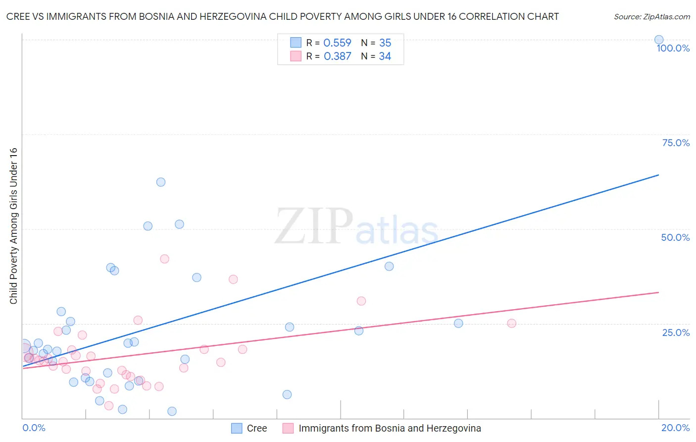 Cree vs Immigrants from Bosnia and Herzegovina Child Poverty Among Girls Under 16