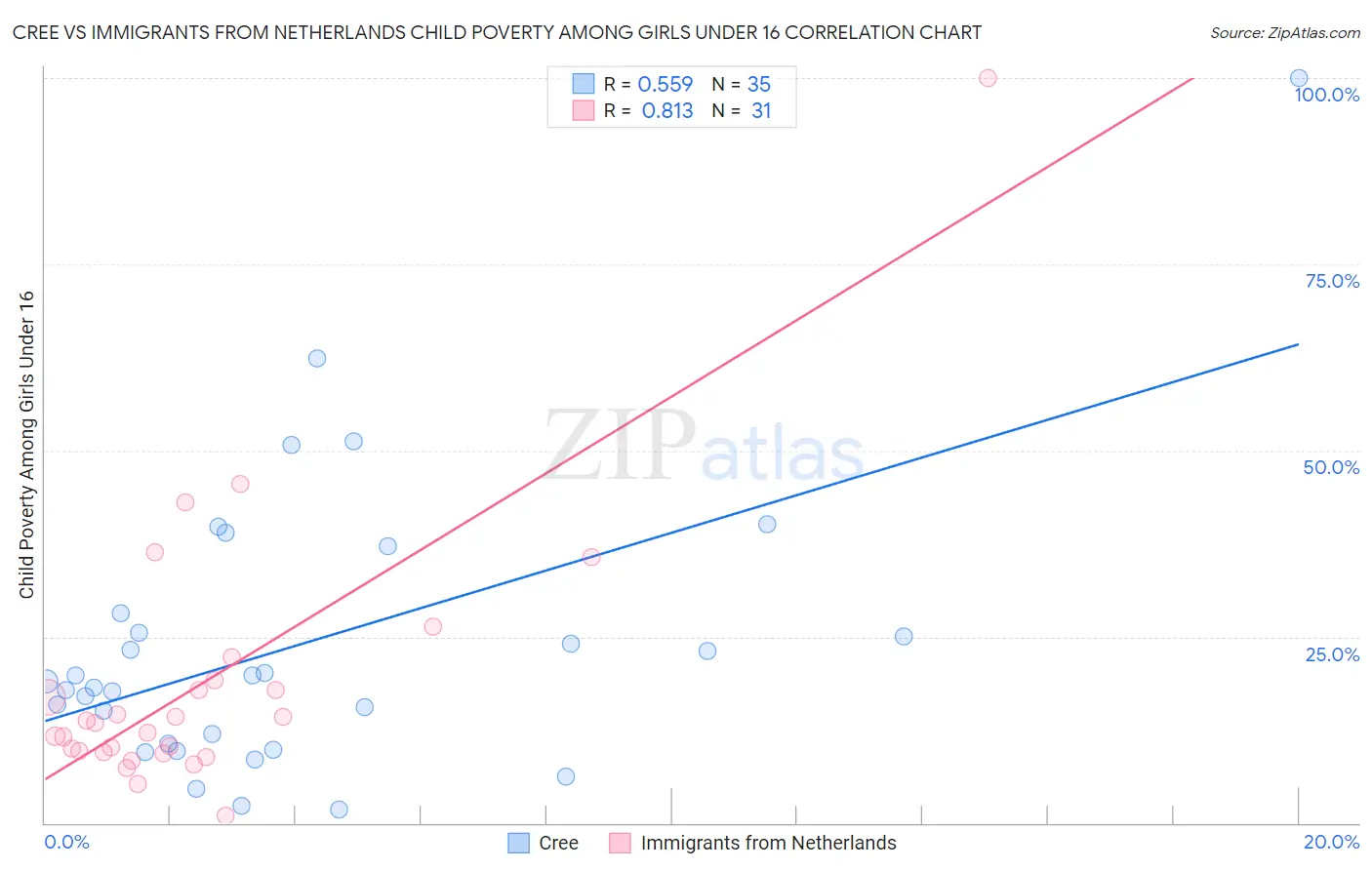 Cree vs Immigrants from Netherlands Child Poverty Among Girls Under 16
