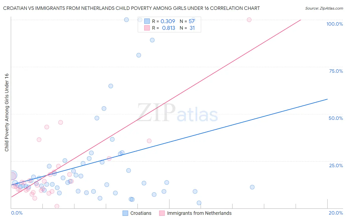 Croatian vs Immigrants from Netherlands Child Poverty Among Girls Under 16