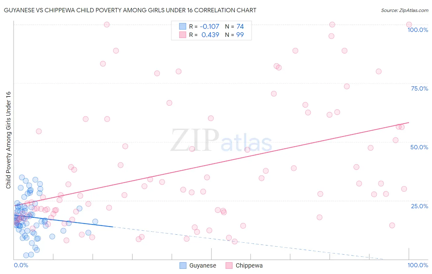 Guyanese vs Chippewa Child Poverty Among Girls Under 16