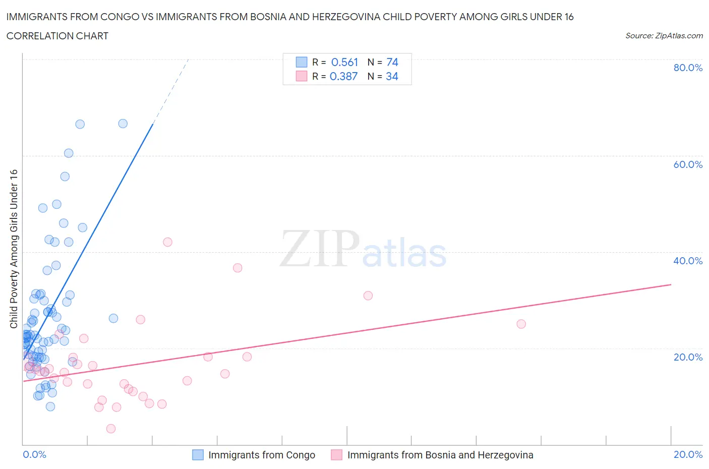 Immigrants from Congo vs Immigrants from Bosnia and Herzegovina Child Poverty Among Girls Under 16