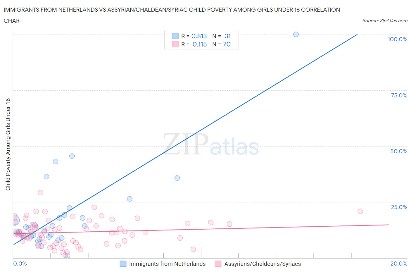 Immigrants from Netherlands vs Assyrian/Chaldean/Syriac Child Poverty Among Girls Under 16