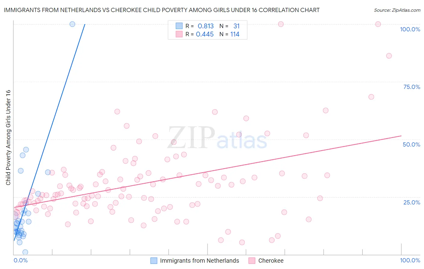 Immigrants from Netherlands vs Cherokee Child Poverty Among Girls Under 16