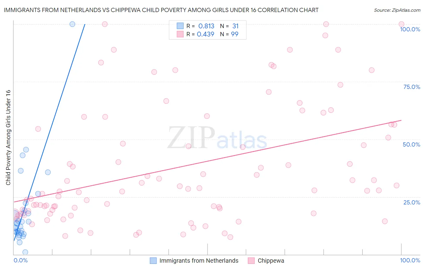 Immigrants from Netherlands vs Chippewa Child Poverty Among Girls Under 16