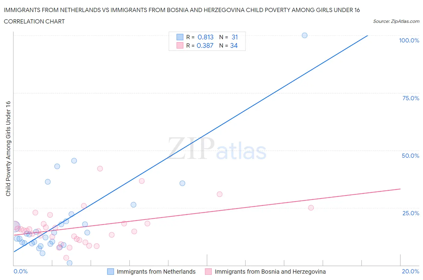 Immigrants from Netherlands vs Immigrants from Bosnia and Herzegovina Child Poverty Among Girls Under 16