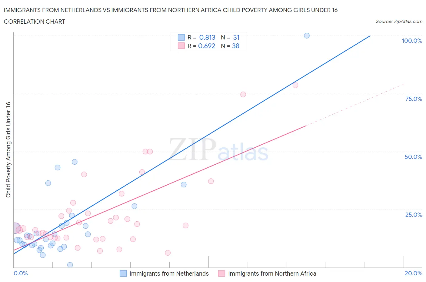 Immigrants from Netherlands vs Immigrants from Northern Africa Child Poverty Among Girls Under 16