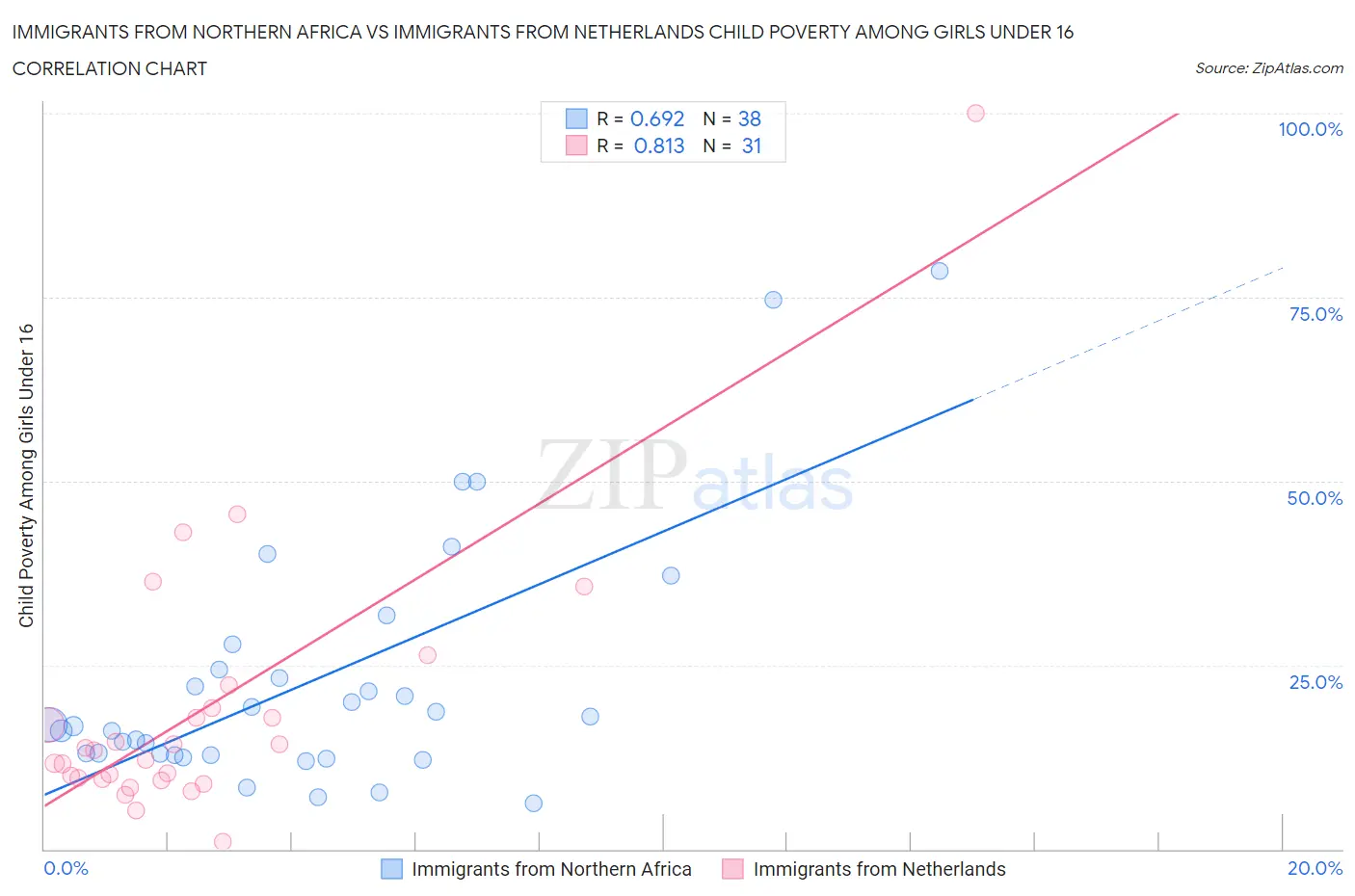 Immigrants from Northern Africa vs Immigrants from Netherlands Child Poverty Among Girls Under 16