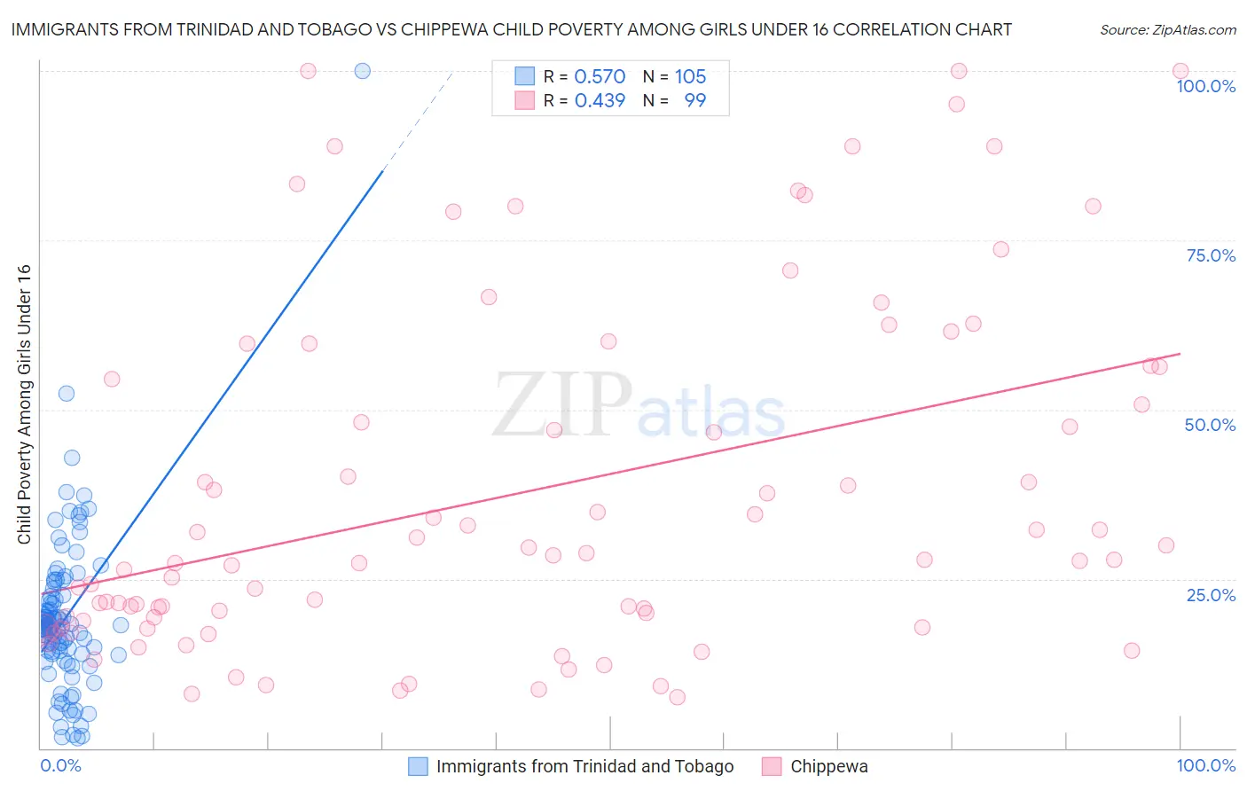 Immigrants from Trinidad and Tobago vs Chippewa Child Poverty Among Girls Under 16
