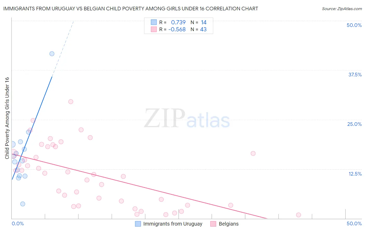 Immigrants from Uruguay vs Belgian Child Poverty Among Girls Under 16