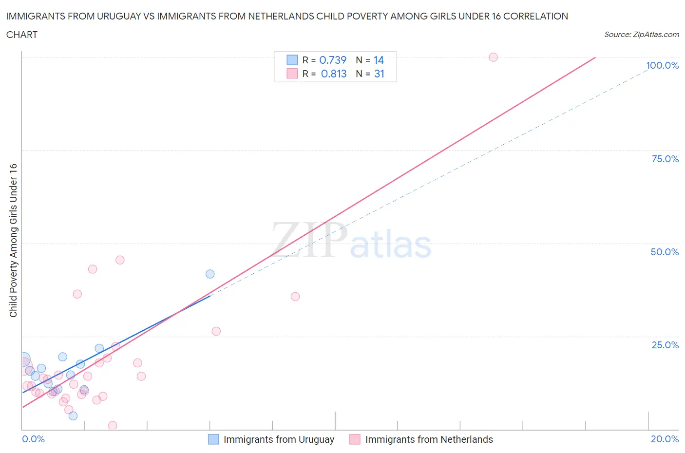 Immigrants from Uruguay vs Immigrants from Netherlands Child Poverty Among Girls Under 16