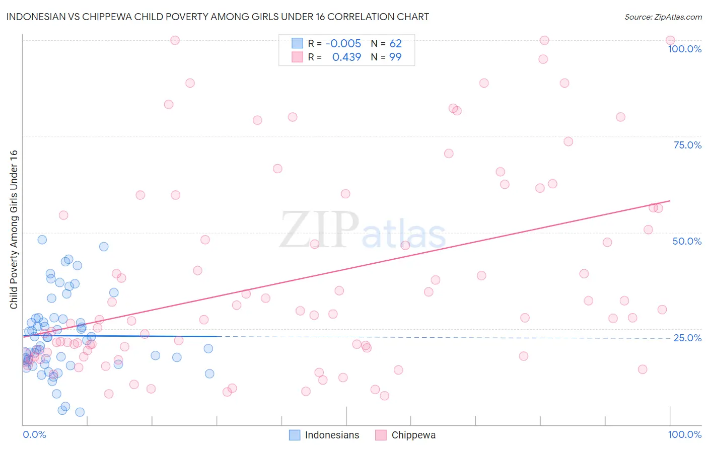 Indonesian vs Chippewa Child Poverty Among Girls Under 16